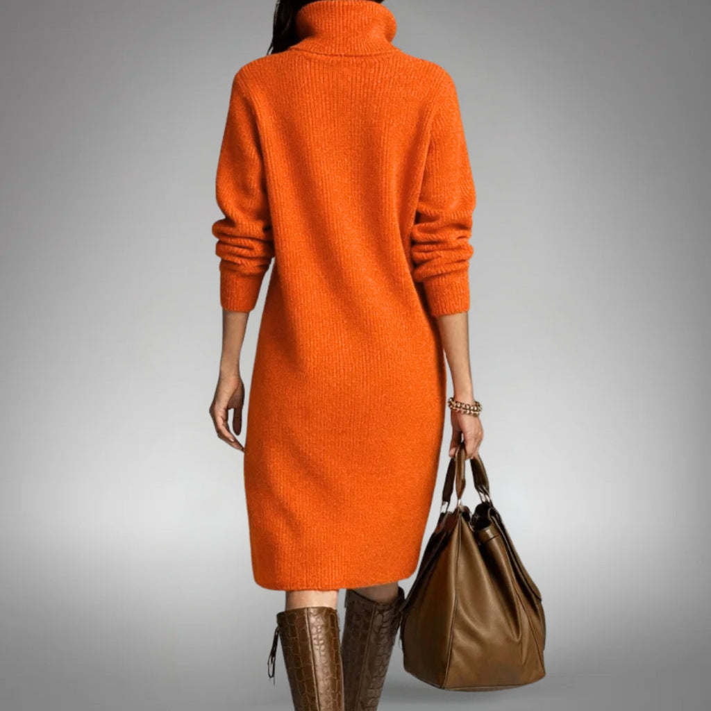 Quinn Sophisticated High Neck Dress